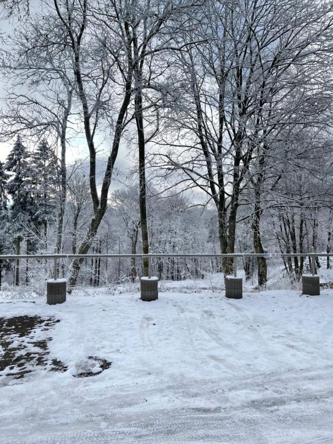 Aventur Studio 212 Am Rotharrsteig Medebach Exterior foto